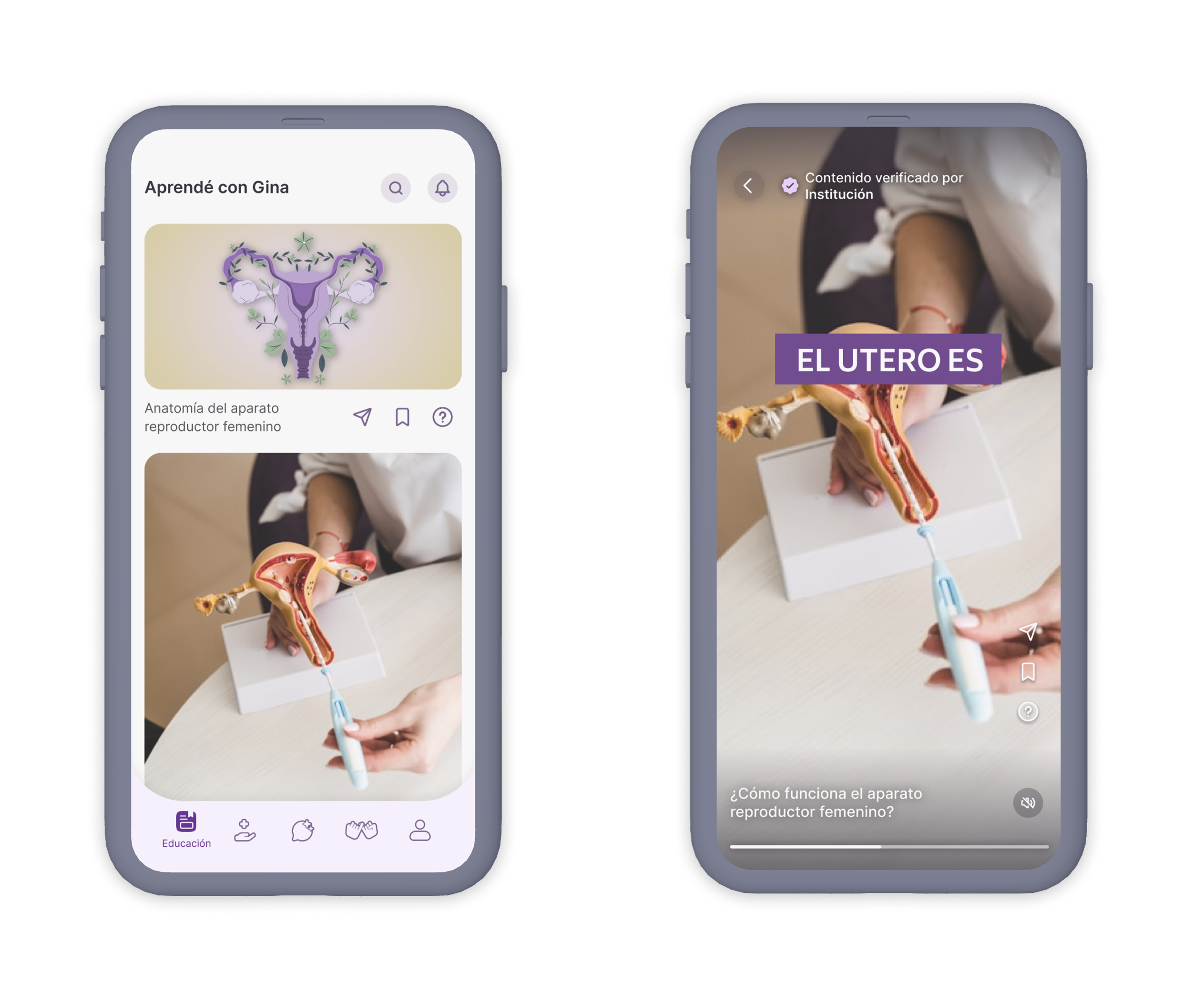 Módulo Educativo - Anatomía del aparato reproductor femenino